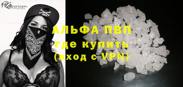 PSILOCYBIN Богданович