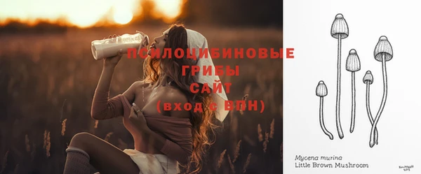 бутират Богородицк