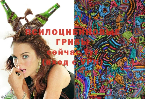 бутират Богородицк