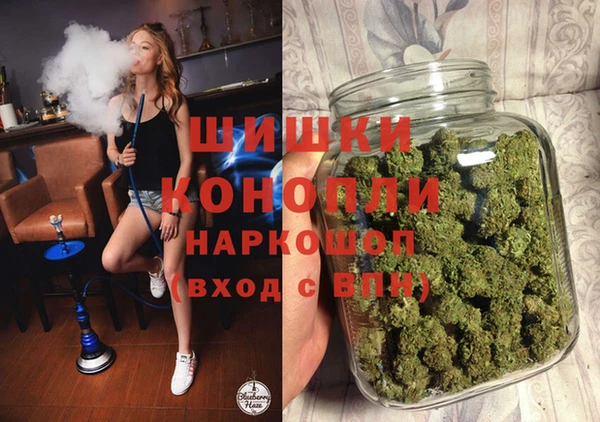 Альфа ПВП Бородино