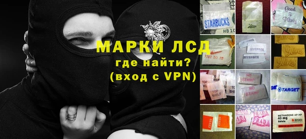 PSILOCYBIN Богданович