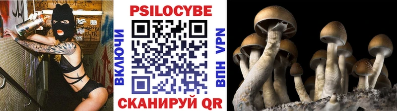 Псилоцибиновые грибы ЛСД  Купить  Электроугли 